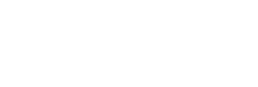 Adaptec Solutions