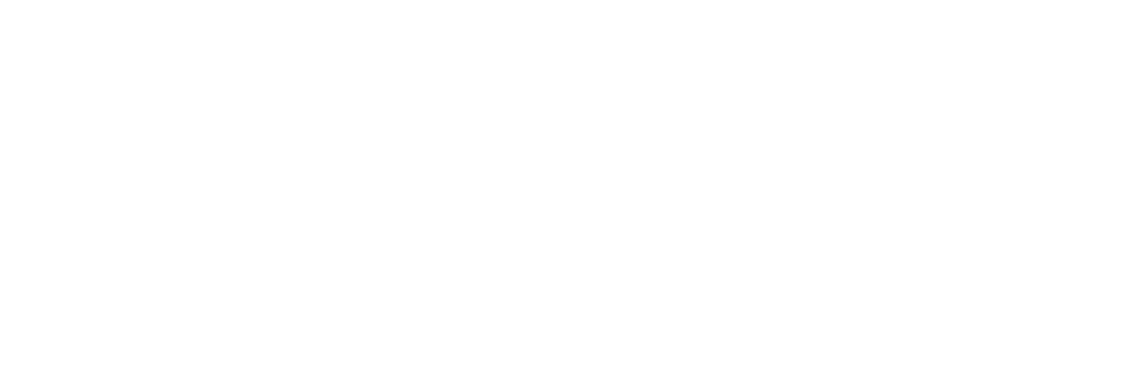 Geek+