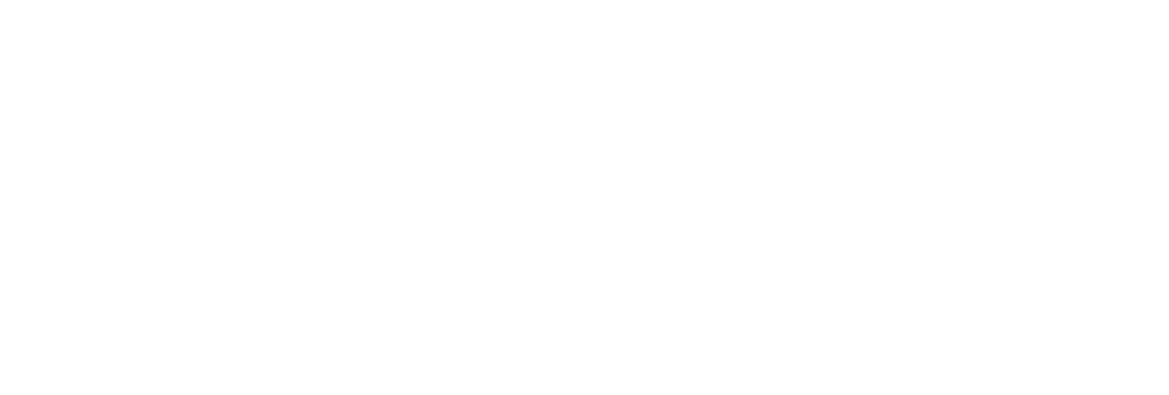 SVT Robotics